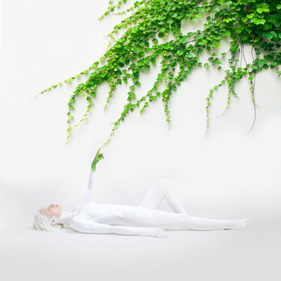Rebirth by Gul Yildiz