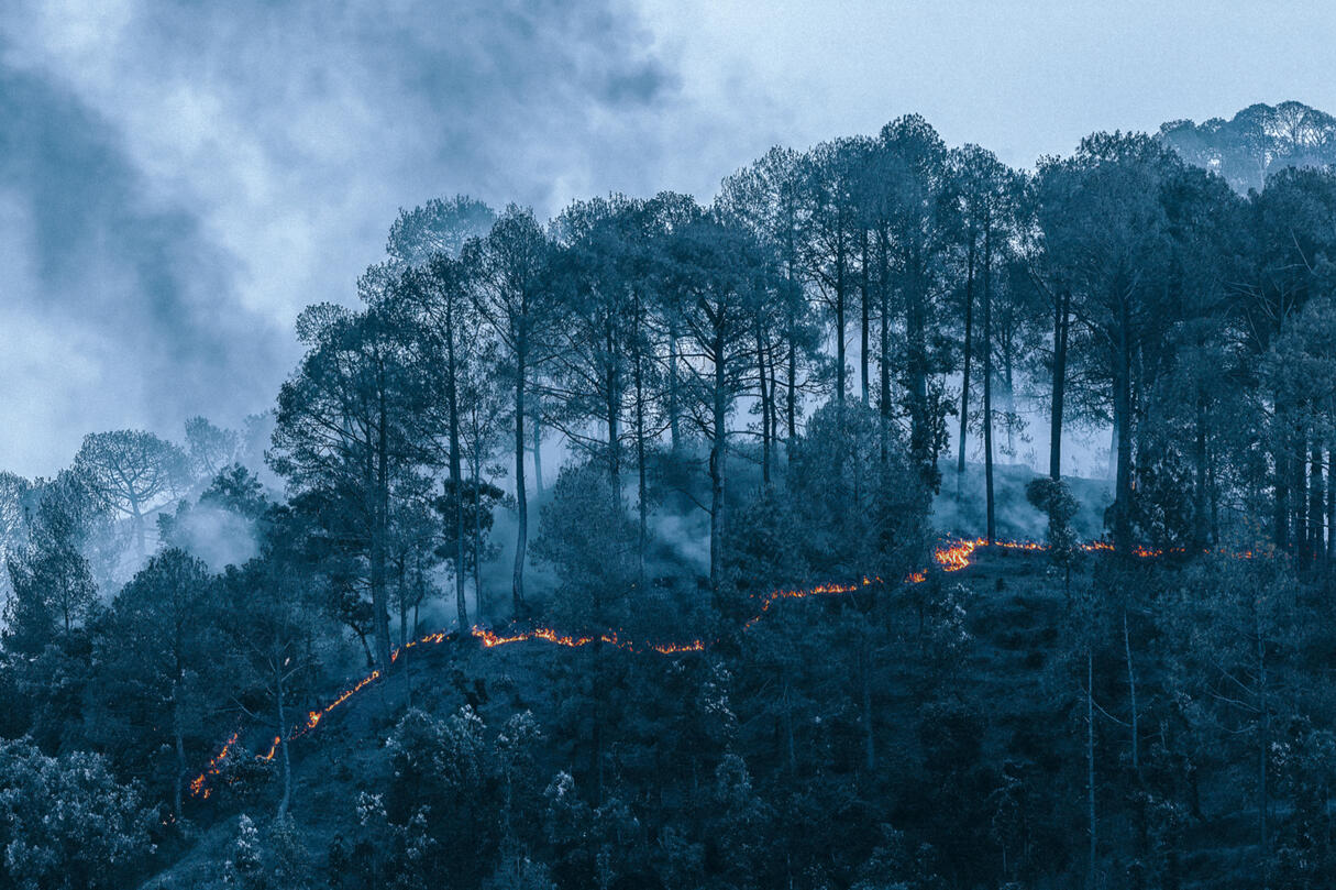 Fire Knows No Barrier, by Arijit Mondal