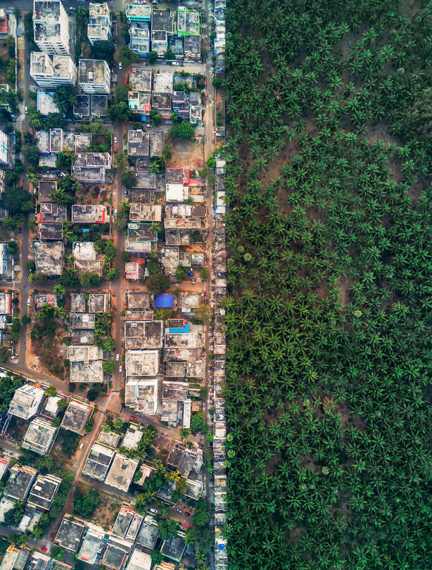 Dichotomy, by Rakesh Pulapa